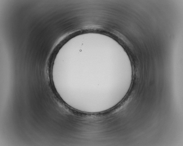 X0000113911022200910221329