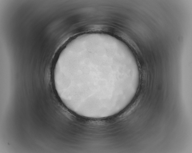 X0000113911023200910221329