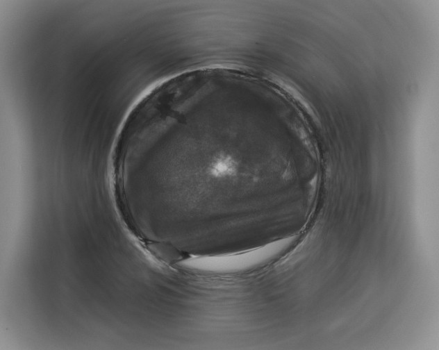 X0000113911024200910221329