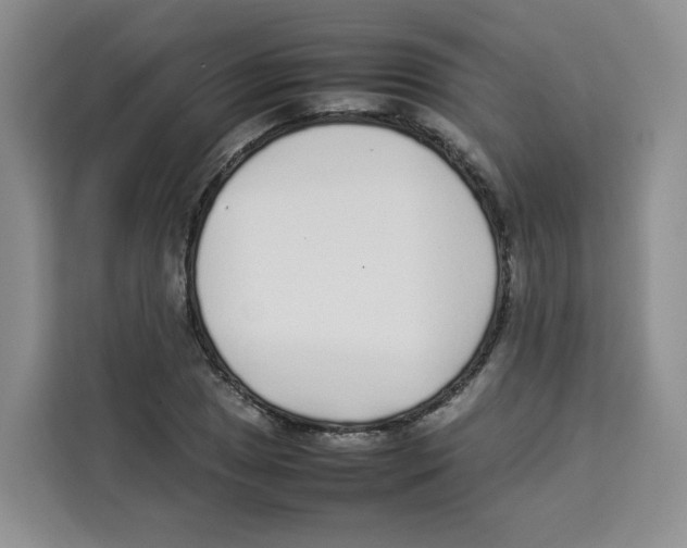 X0000113911025200910221329