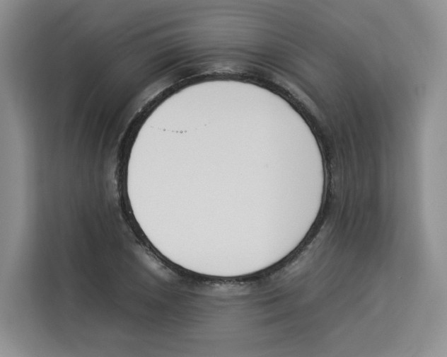 X0000113911026200910221329