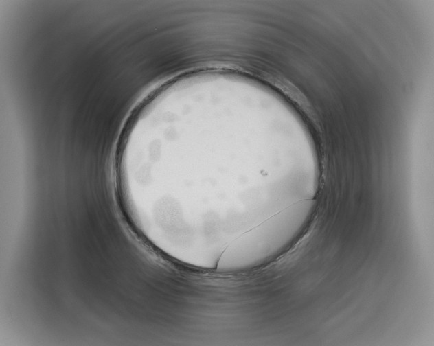 X0000113911028200910221329