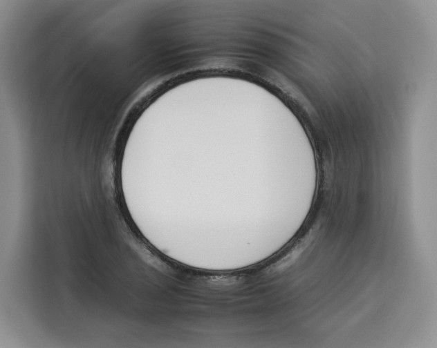 X0000113911029200910221329