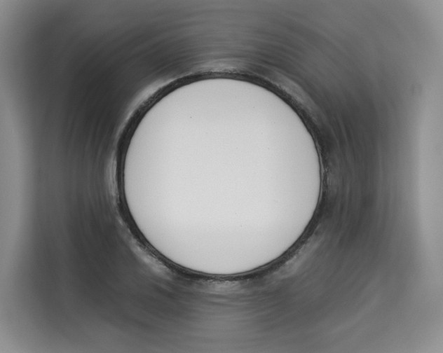 X0000113911030200910221329