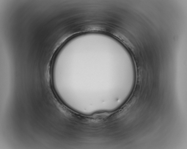 X0000113911031200910221329