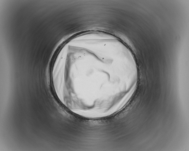 X0000113911032200910221329