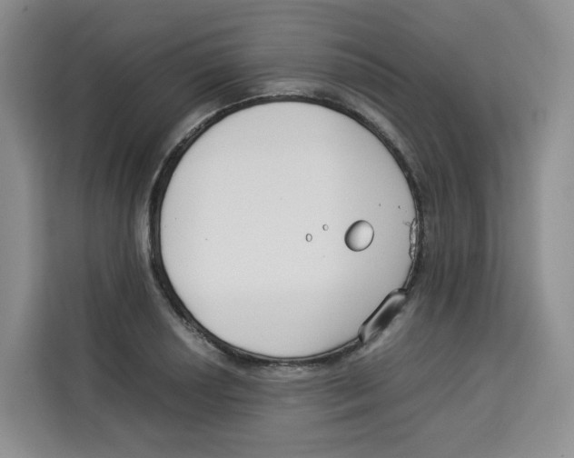 X0000113911034200910221329