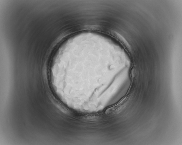 X0000113911035200910221329