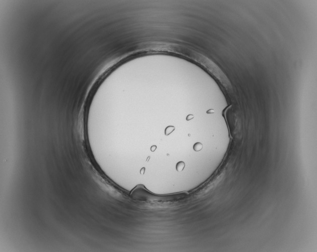 X0000113911036200910221329