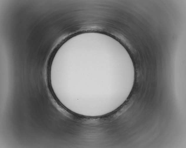 X0000113911038200910221329