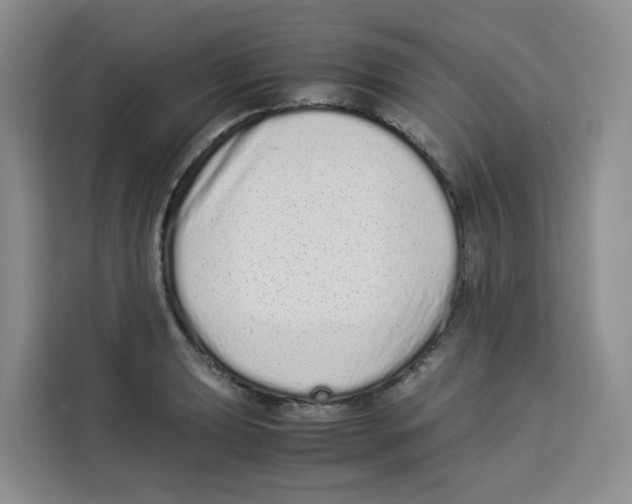 X0000113911039200910221329