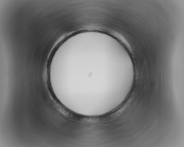 X0000113911040200910221329