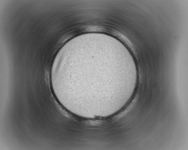 X0000113911041200910221329