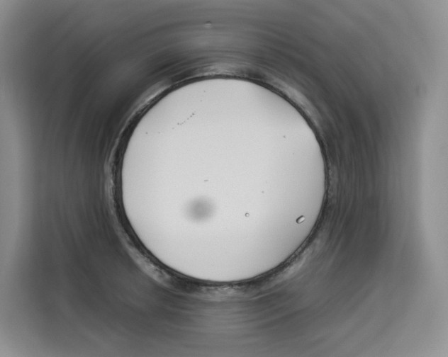 X0000113911042200910221329