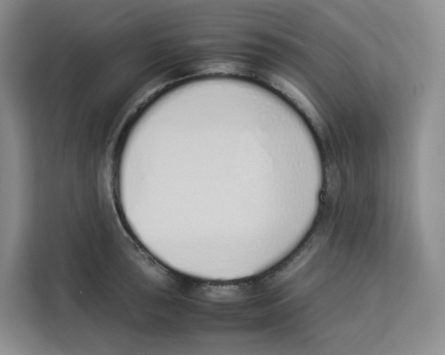 X0000113911043200910221329