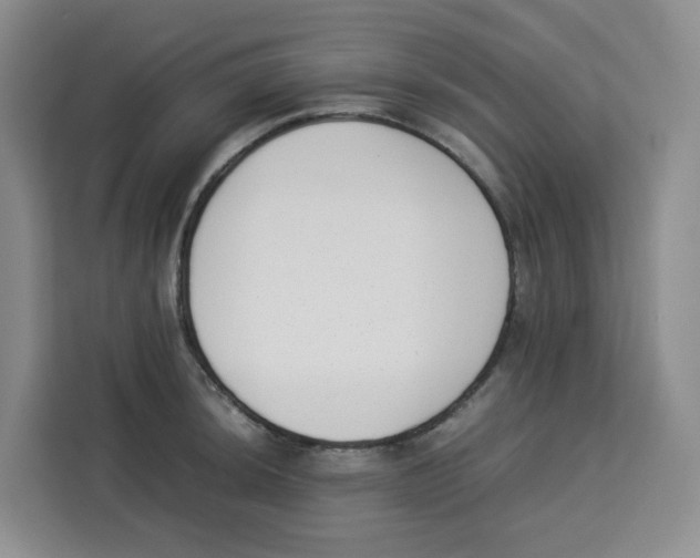 X0000113911044200910221329