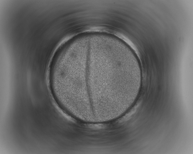 X0000113911045200910221329