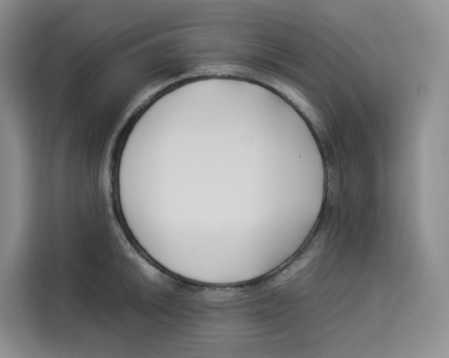 X0000113911046200910221329