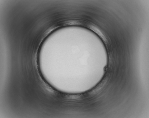 X0000113911047200910221329