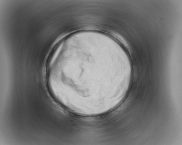 X0000113911048200910221329