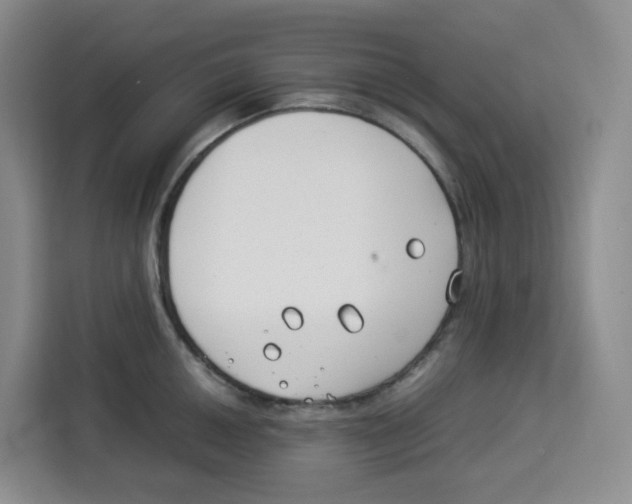 X0000113911050200910221329