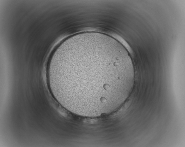 X0000113911051200910221329