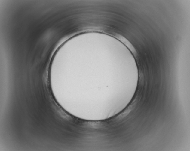 X0000113911052200910221329