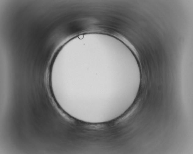X0000113911053200910221329