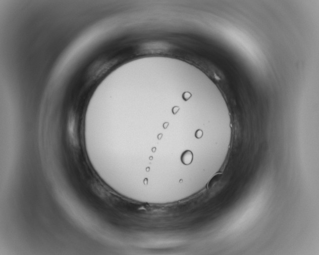 X0000113911054200910221329