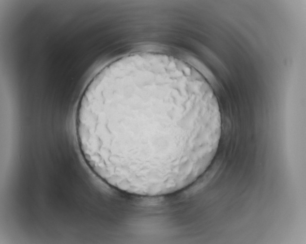 X0000113911055200910221329
