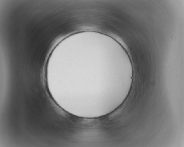 X0000113911056200910221329