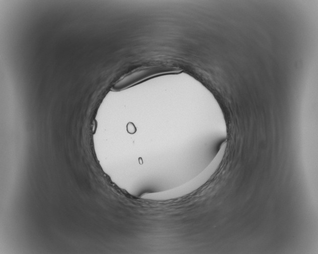 X0000113911057200910221329