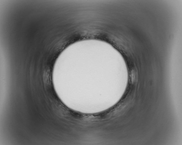 X0000113911059200910221329