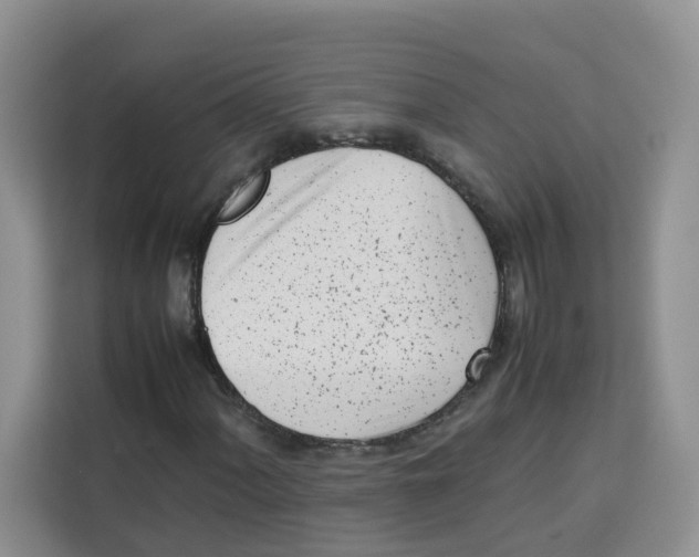 X0000113911060200910221329