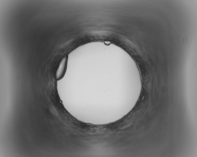 X0000113911061200910221329