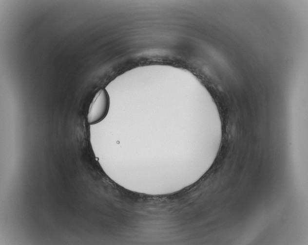 X0000113911062200910221329