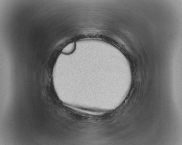 X0000113911063200910221329