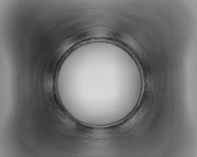 X0000113911065200910221329