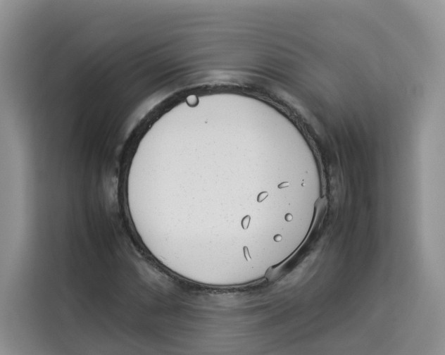 X0000113911066200910221329