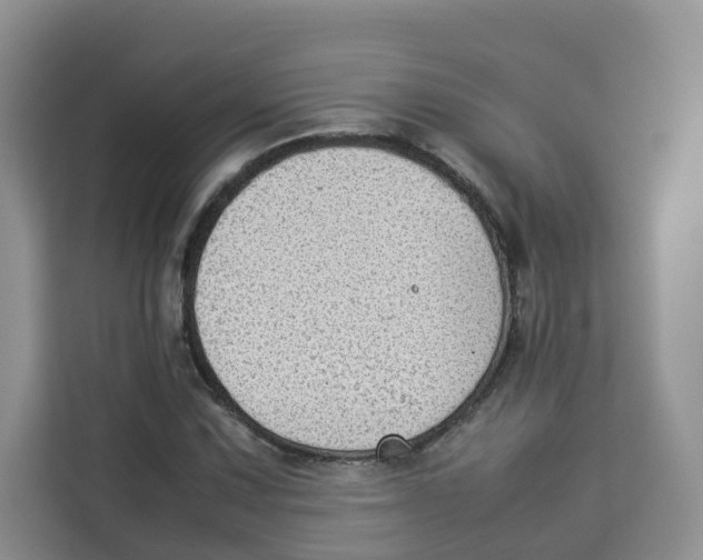 X0000113911067200910221329