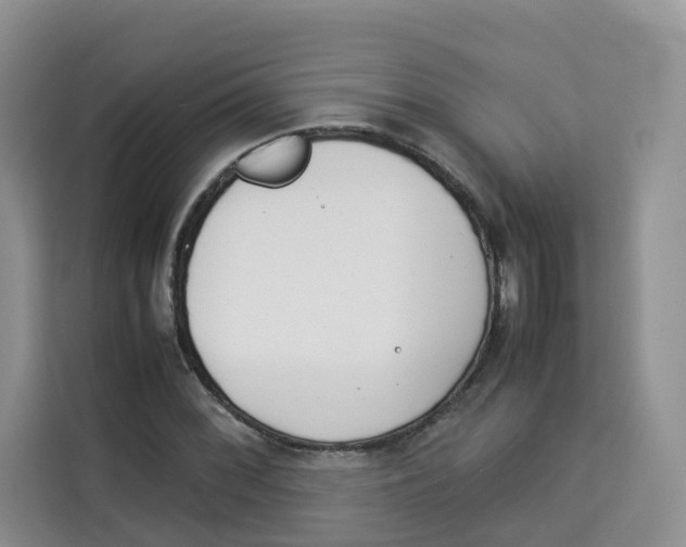 X0000113911068200910221329