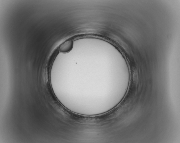 X0000113911069200910221329