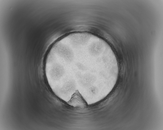 X0000113911071200910221329