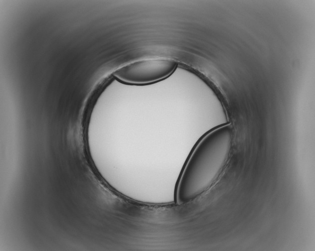 X0000113911072200910221329