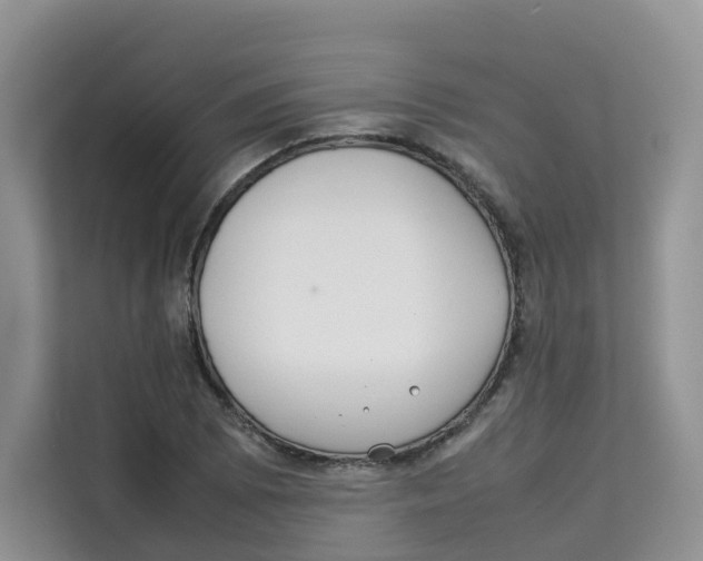 X0000113911073200910221329