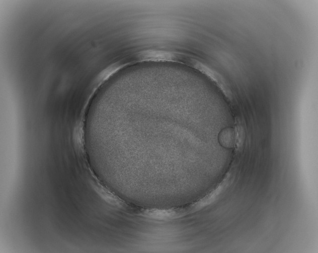 X0000113911074200910221329