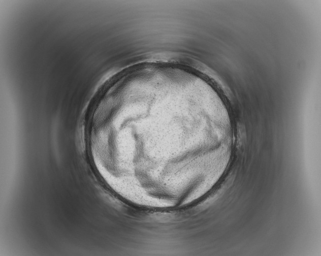 X0000113911075200910221329