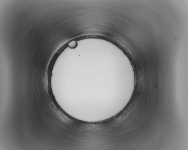 X0000113911076200910221329