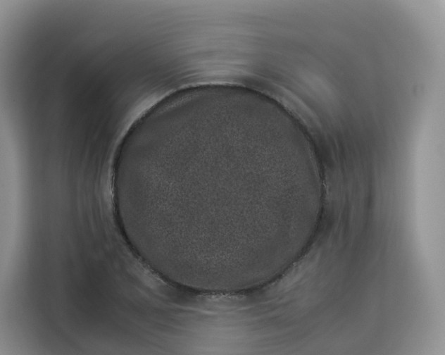X0000113911077200910221329