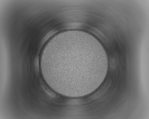 X0000113911078200910221329